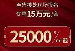 豪华29代最新爆料,尖端科技与奢华体验的完美融合