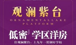 岳阳最新爆料新闻,揭秘神秘事件背后的真相